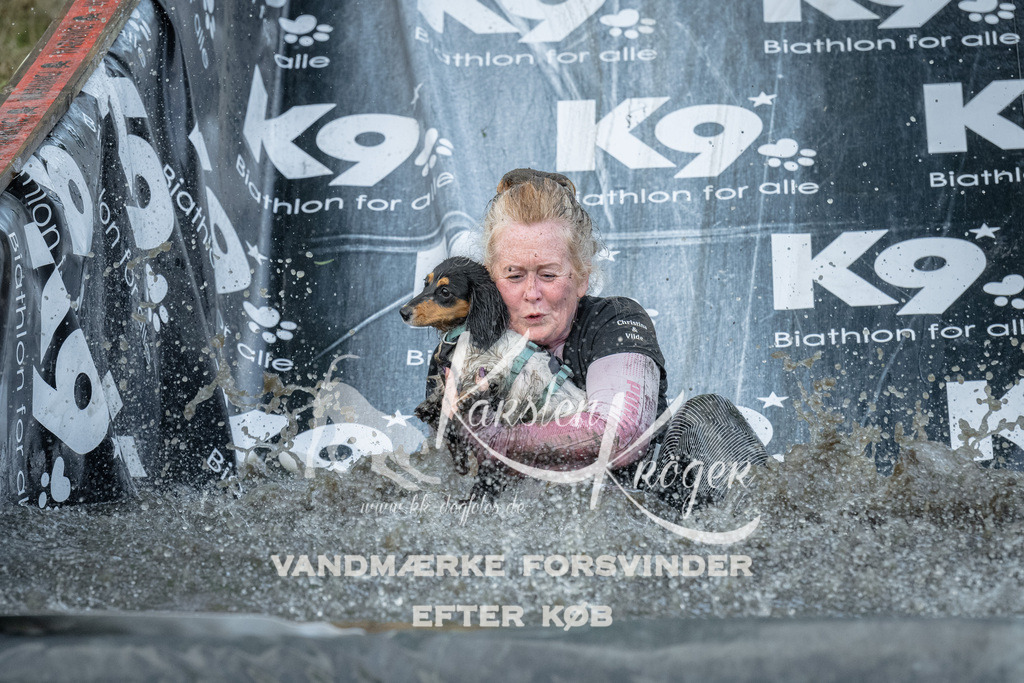 1617_ZZ92248 | kk-dogfotos