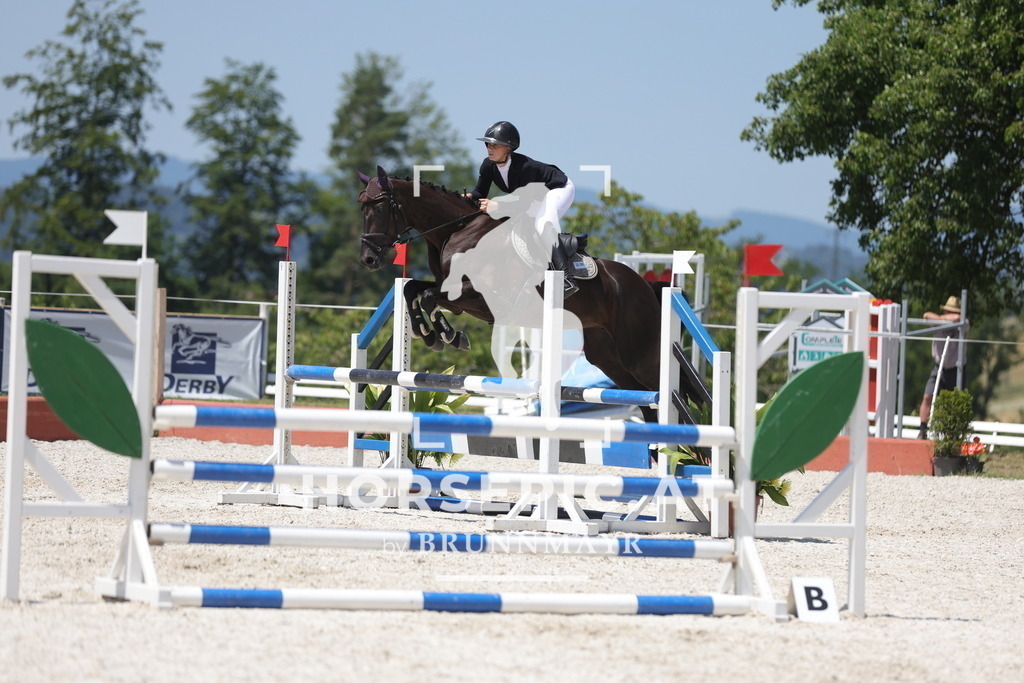 0P6A9447 | Willkommen bei Brunnmayr - Design & Fotografie – Ihrem Spezialisten für Reitturniere und Pferdeveranstaltungen in Oberösterreich, Salzburg und Bayern! Seit über 17 Jahren sind wir leidenschaftlich dabei.