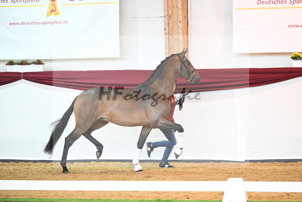 Kat-Nr. 39 v. Jovian_Dahlhoff_66220982 | hf-fotografie - Realisiert mit Pictrs.com