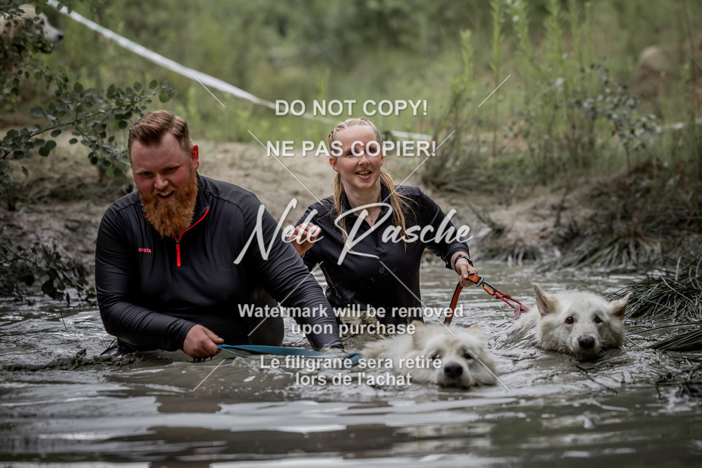 nelerasche_so0800-0930_452 | nelerasche
