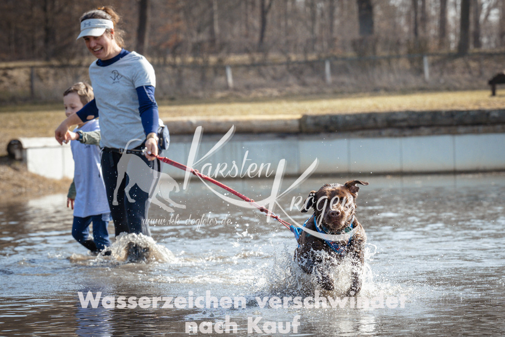 1126_ZZ94376 | kk-dogfotos