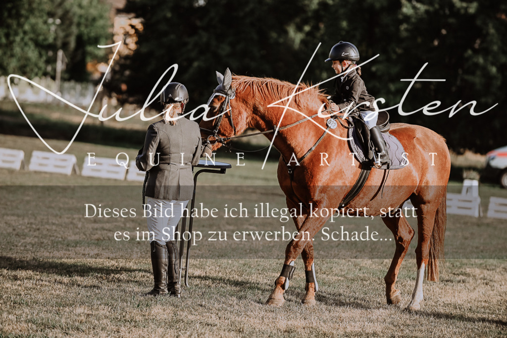 DSC_0182 | Pferde- und Turnierfotografie in Westsachsen. Pferdeportraits, Auftragszeichnungen und intuitive Kunst.