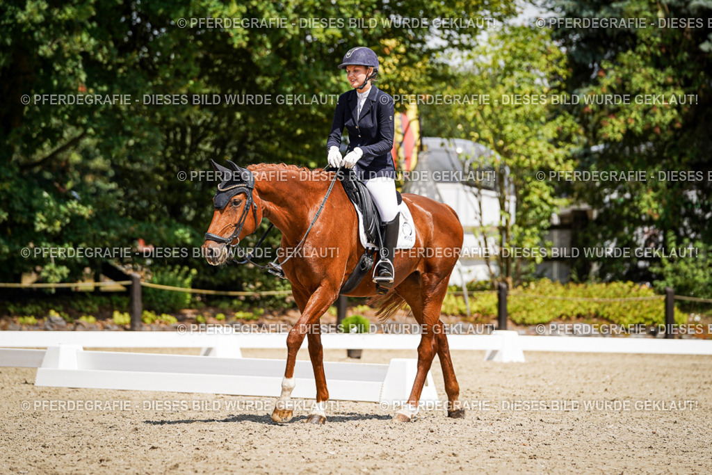 DSC01315 | Pferdegrafie