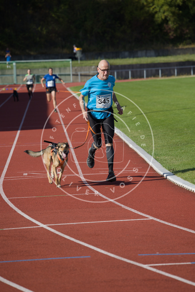 0L8A9240 | Hundefotografie, Tierfotograf, Pfotenfotografie, Fotoshooting Hund, Hunde Portrait, Hundesport, Hundeportraits, Heideshooting, Hunde, Sportfotograf, Hundefotograf, Turnierhundsport, THS,  - Realisiert mit Pictrs.com
