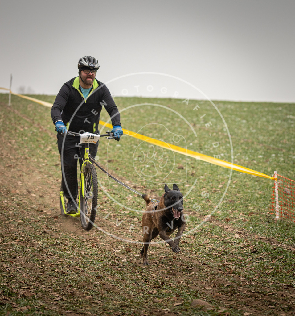 Pfotenfotografie_DV3A3895 | Hundefotografie, Tierfotograf, Pfotenfotografie, Fotoshooting Hund, Hunde Portrait, Hundesport, Hundeportraits, Heideshooting, Hunde, Sportfotograf, Hundefotograf, Turnierhundsport, THS,  - Realisiert mit Pictrs.com