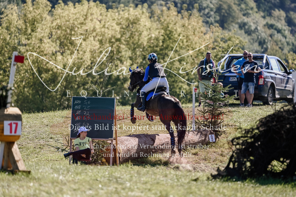 DSC_3135 | Pferde- und Turnierfotografie in Westsachsen. Pferdeportraits, Auftragszeichnungen und intuitive Kunst.