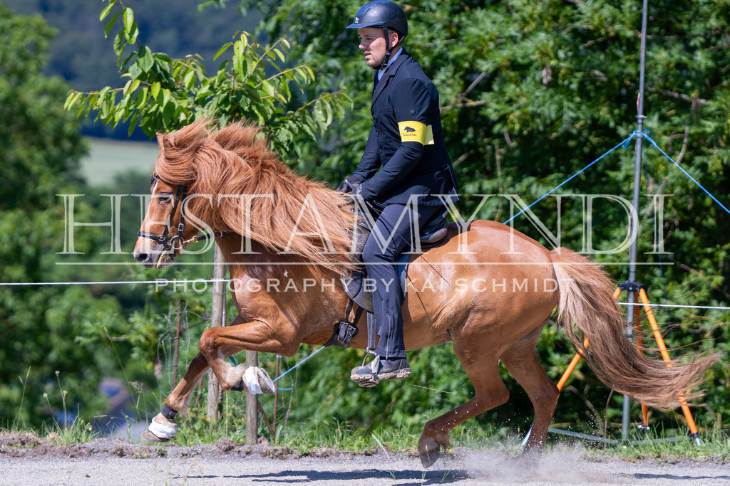 KAI09959 | Ihr sucht einen Fotografen für eure nächste OSI? Ich begleite auch euer Turnier für Islandpferde fotografisch.  - Realisiert mit Pictrs.com