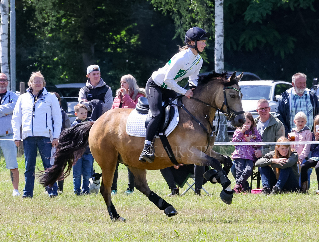 IMG_1607 | Reitsport Reiten