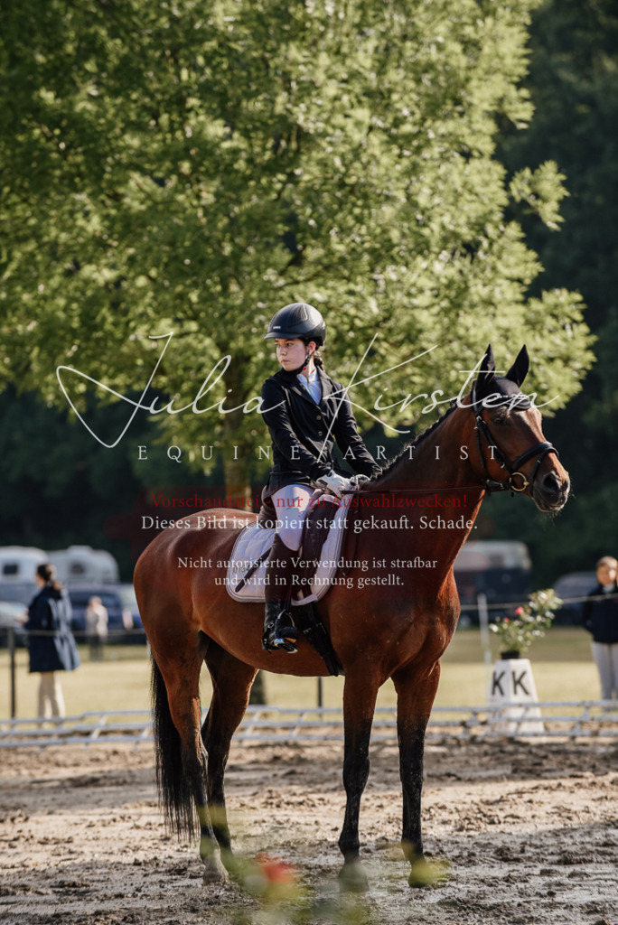DSC_8065 | Pferde- und Turnierfotografie in Westsachsen. Pferdeportraits, Auftragszeichnungen und intuitive Kunst.