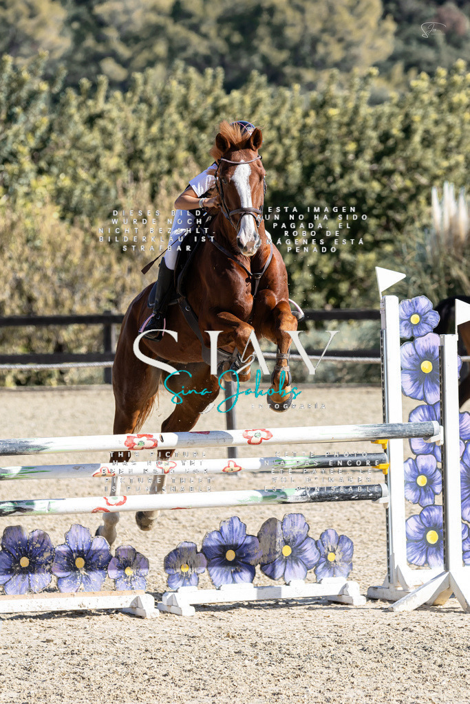 IMG_0717 | s-jay-photography - Realisiert mit Pictrs.com