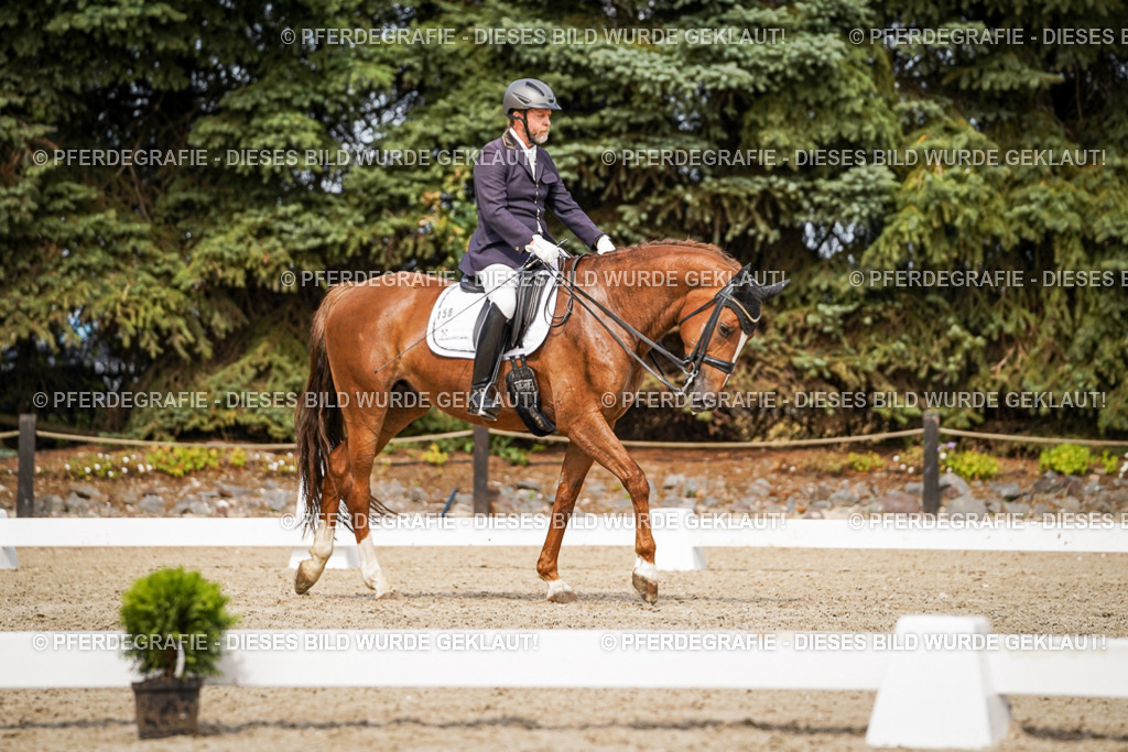 DSC05782 | Pferdegrafie