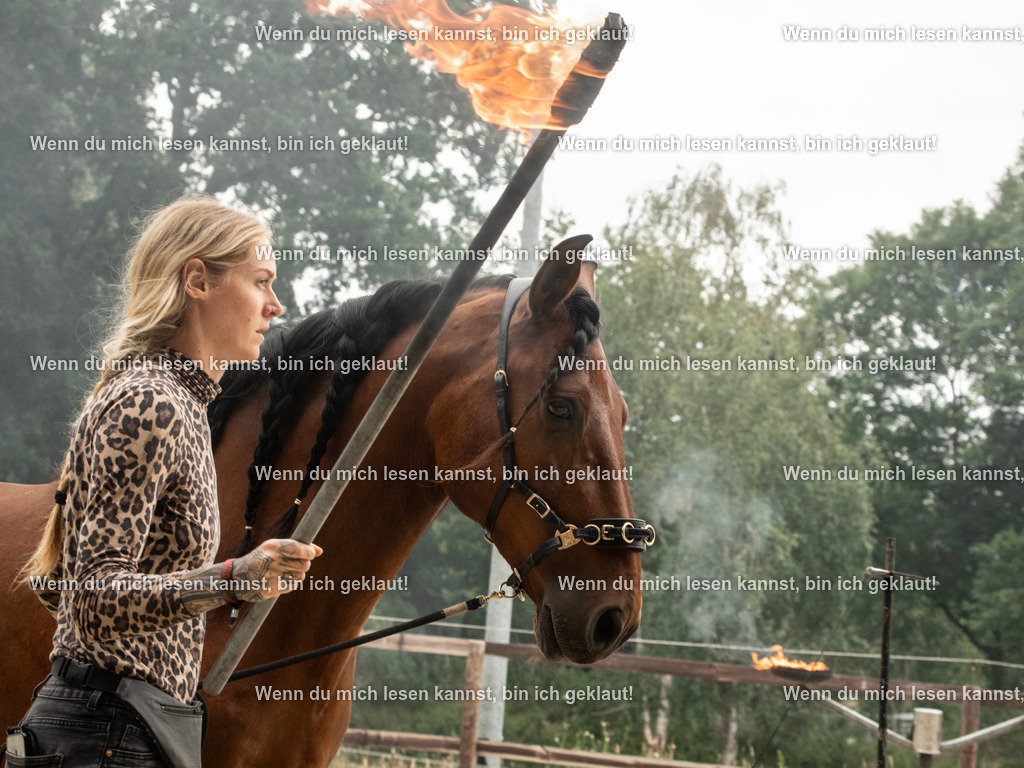 598A7091 | photographylinaismer - Realisiert mit Pictrs.com