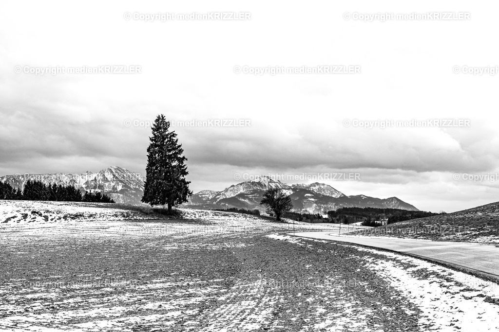 _J3A0132 | medienkrizzler - Realisiert mit Pictrs.com