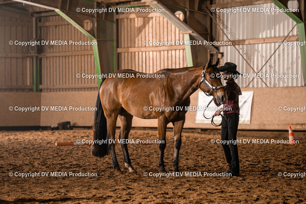 BAL01167 | dv-media-shop - Realisiert mit Pictrs.com