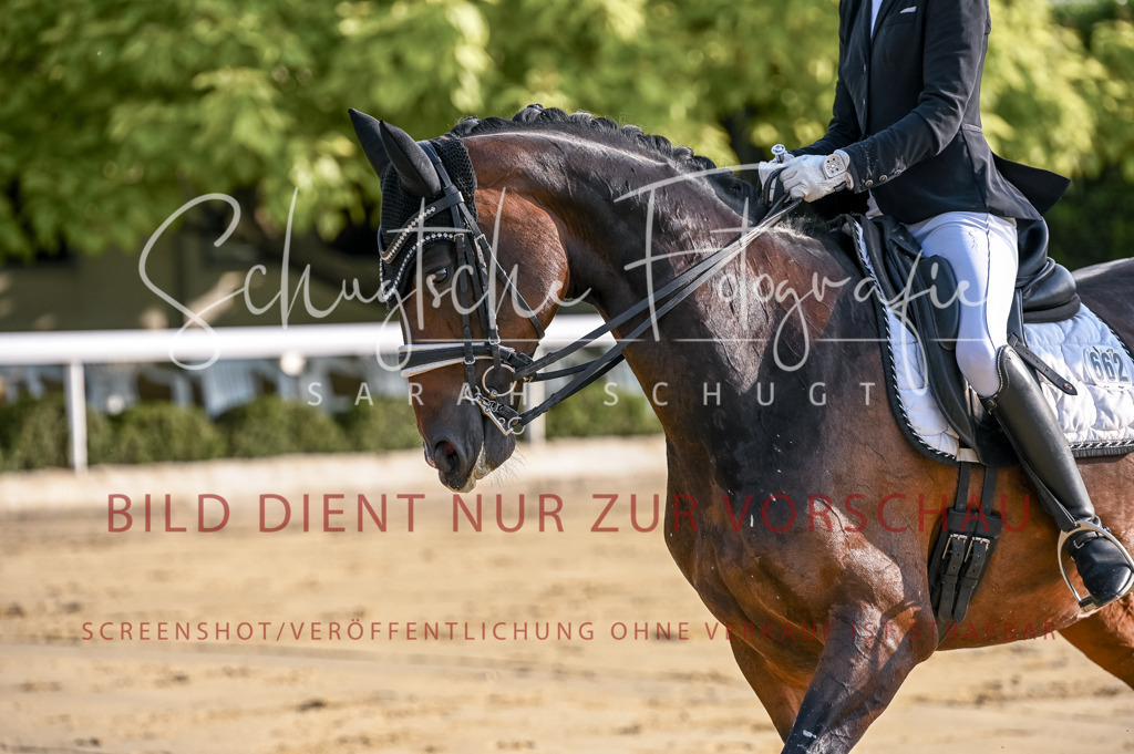 Schugtsche-Aluta25-52.Dressurprf.M2Kand-8 | Schugtsche Fotografie - Realisiert mit Pictrs.com