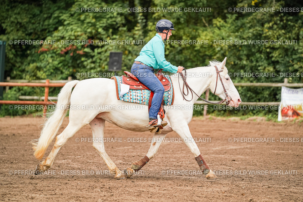 DSC06867 | Pferdegrafie