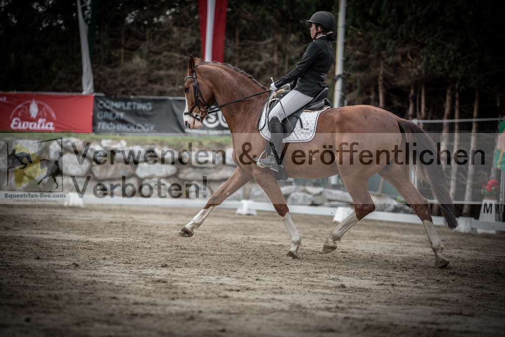 DSC_9650 | equestrian-live-com