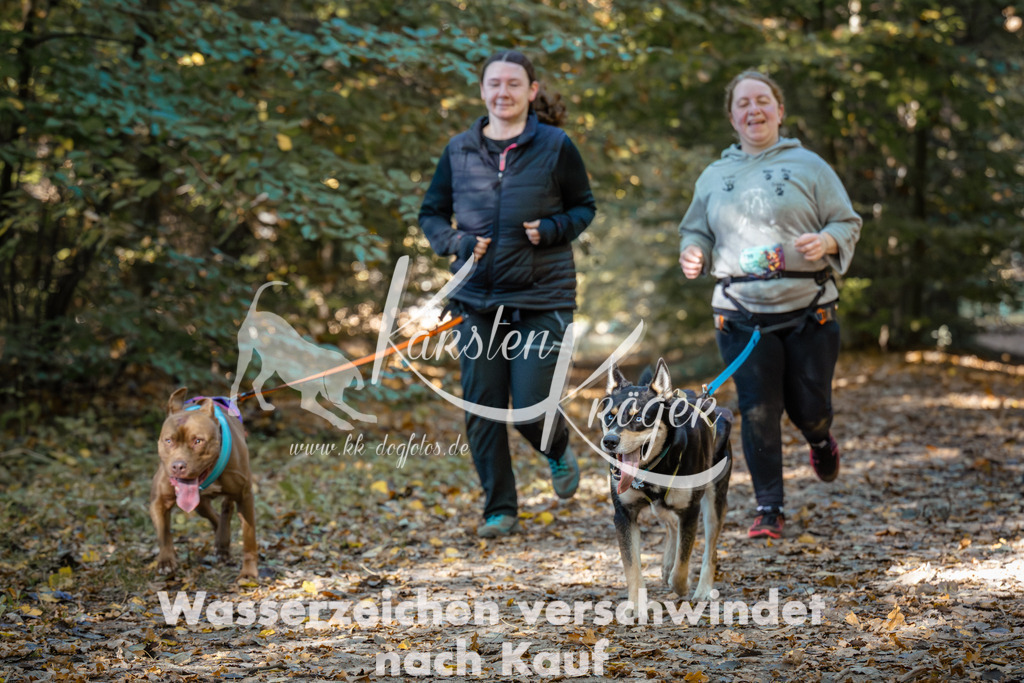 1114_ZZ91851 | kk-dogfotos