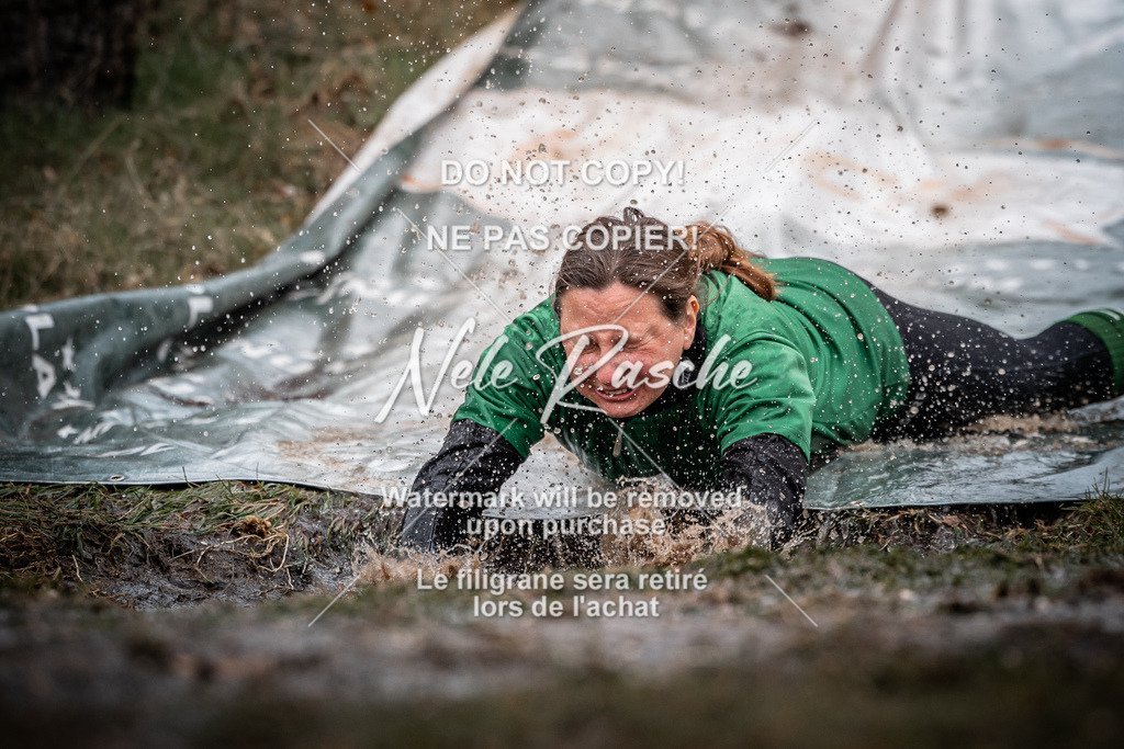 nelerasche_1230-1300_349 | nelerasche