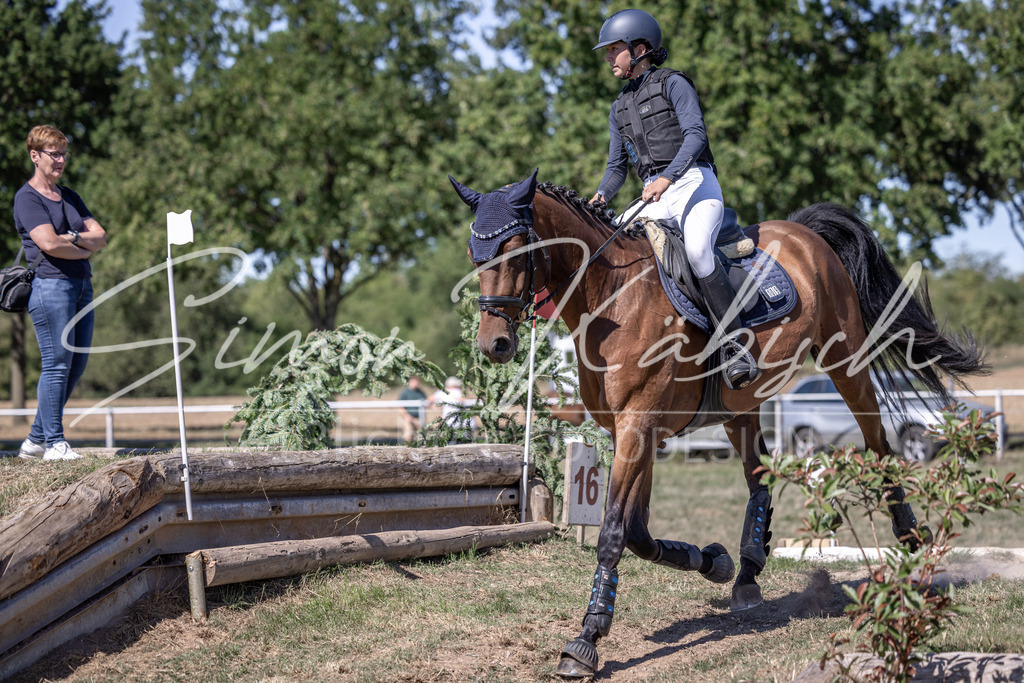 20260906-_3LI3843 | Tierfotografie Pferde, Hunde, Katzen, Haustiere.
Turnierfotografie Reitturniere, Reiten, Springreiten, Dressur in Hanau, dem Main-Kinzig-Kreis und dem Rhein-Main- Gebiet um Frankfurt