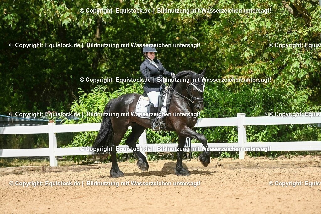 20230715_02_Dressurreiterprüfung Kl.L_0173 | equistock