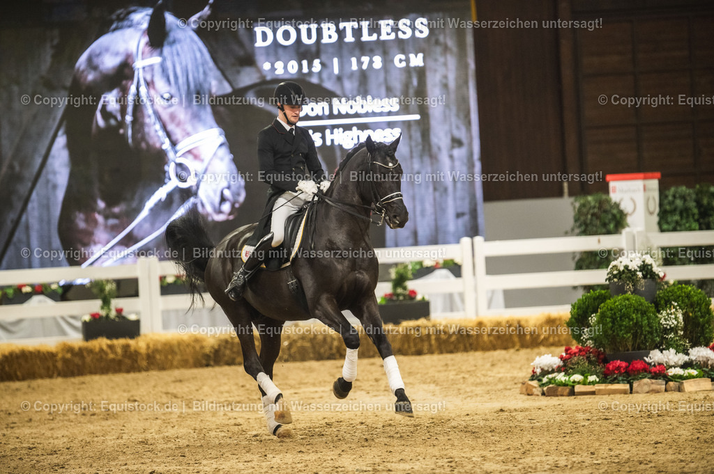 20240302_Hengstvorstellung_Marbach_TOMsPiC_1534-2 | equistock