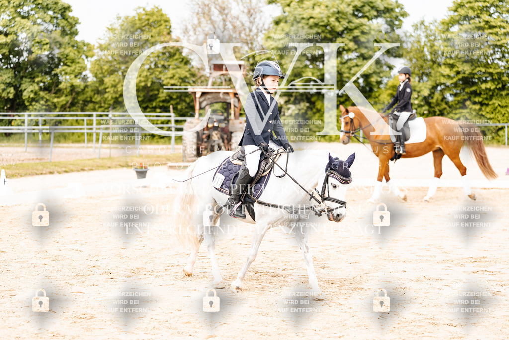 CK904534 | Turnierfotografie Pferdefotografie Trier Rheinland-Pfalz Pferdesport Reitsport Tierfotografie Sportfotografie Pferdevideo Pferdevideografie Equestrianvideography equestrianphotography  - Realisiert mit Pictrs.com