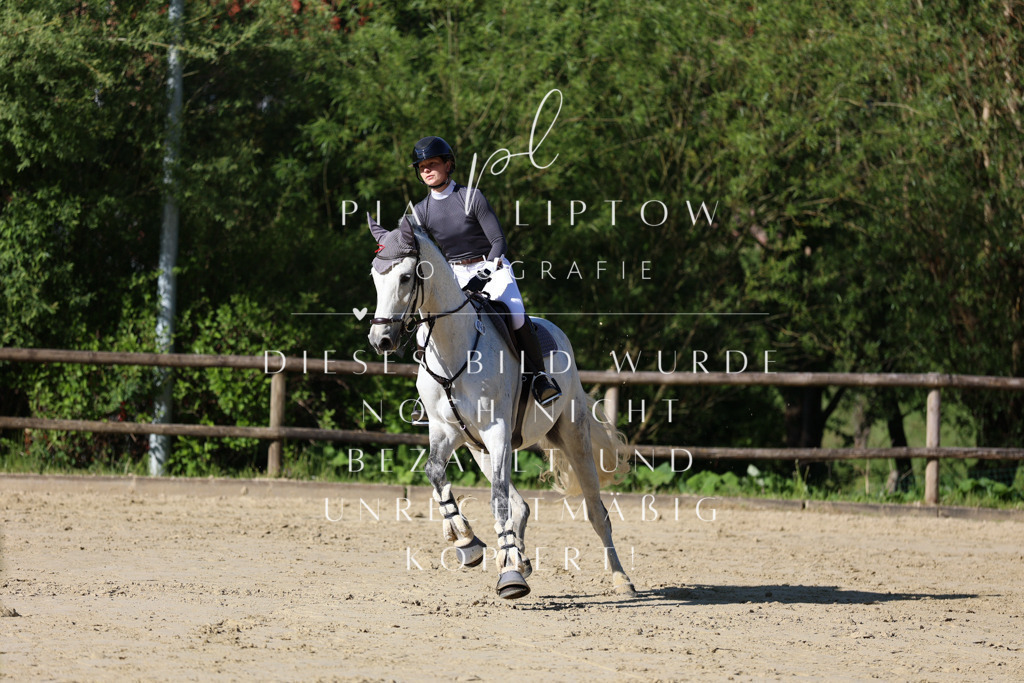 IMGS5379 | pl-fotografie