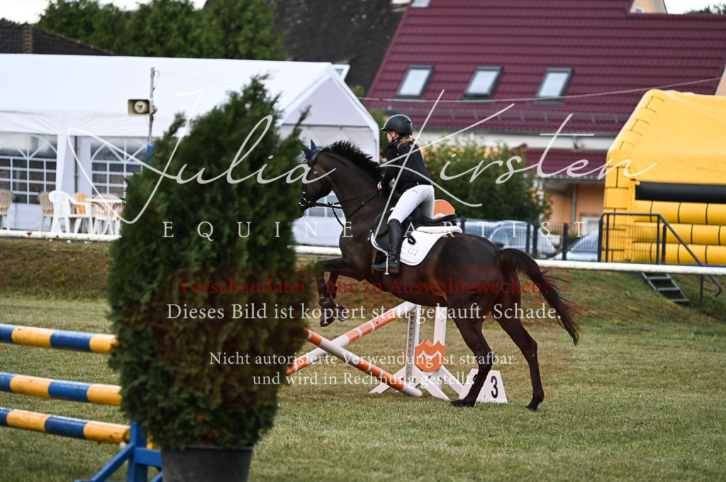 DSC_5579 | Pferde- und Turnierfotografie in Westsachsen. Pferdeportraits, Auftragszeichnungen und intuitive Kunst.