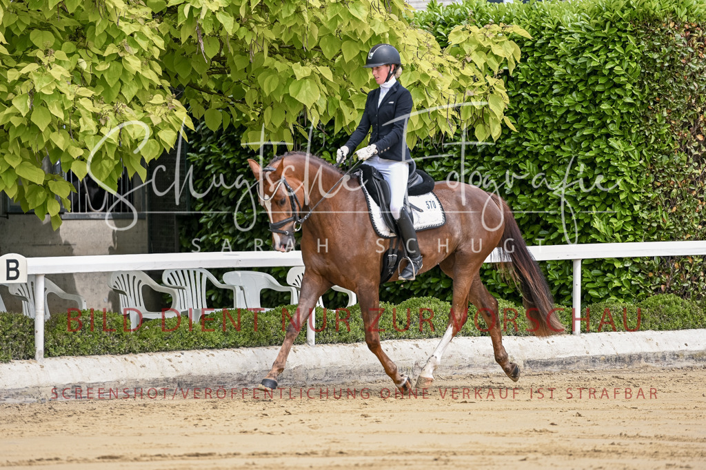 Schugtsche-Aluta25-48.Reitpferfdeprf.-89 | Schugtsche Fotografie - Realisiert mit Pictrs.com