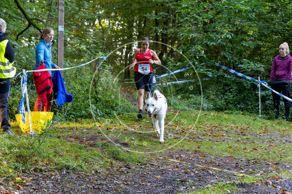 Pfotenfotografie_DV3A7077 | Hundefotografie, Tierfotograf, Pfotenfotografie, Fotoshooting Hund, Hunde Portrait, Hundesport, Hundeportraits, Heideshooting, Hunde, Sportfotograf, Hundefotograf, Turnierhundsport, THS,  - Realisiert mit Pictrs.com