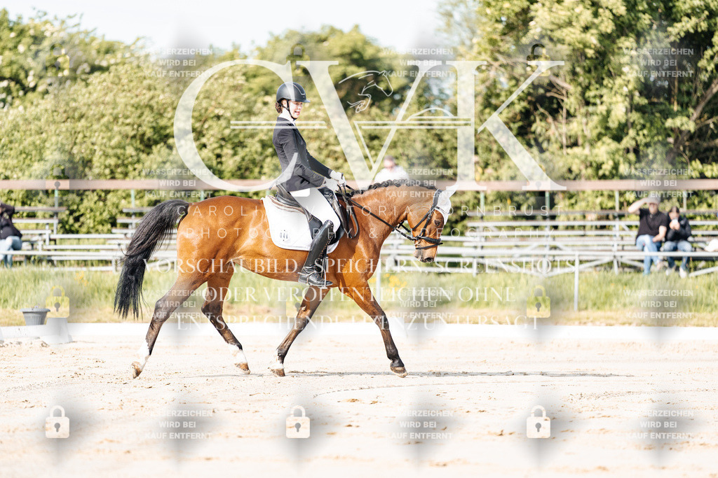 CK900001 | Turnierfotografie Pferdefotografie Trier Rheinland-Pfalz Pferdesport Reitsport Tierfotografie Sportfotografie Pferdevideo Pferdevideografie Equestrianvideography equestrianphotography  - Realisiert mit Pictrs.com