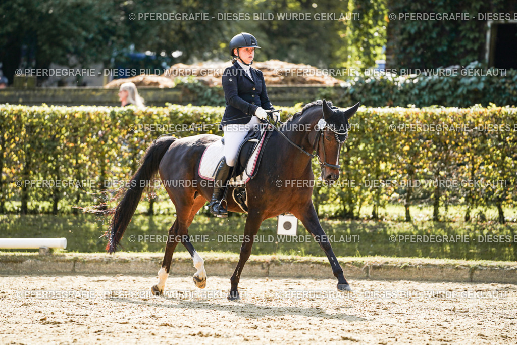 DSC07066 | Pferdegrafie