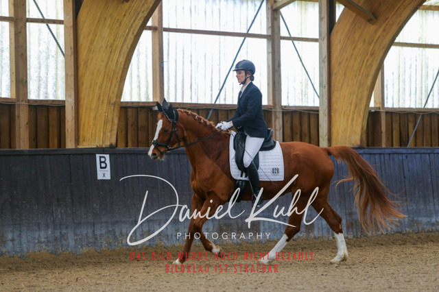 IMG_0273 | Turniersportfotografie; Pferdefotografie; Dressurfotografie