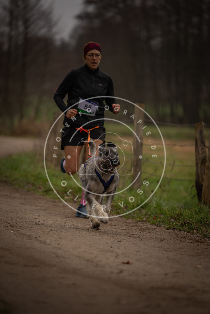 Pfotenfotografie_DV3A3043 | Hundefotografie, Tierfotograf, Pfotenfotografie, Fotoshooting Hund, Hunde Portrait, Hundesport, Hundeportraits, Heideshooting, Hunde, Sportfotograf, Hundefotograf, Turnierhundsport, THS,  - Realisiert mit Pictrs.com