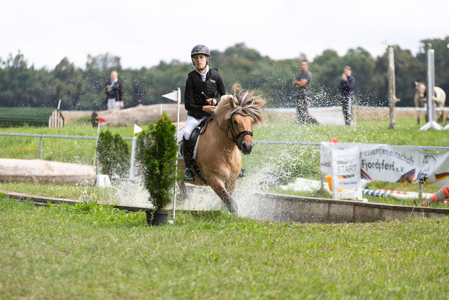 IMG_9172 | normansfotografie - Realisiert mit Pictrs.com