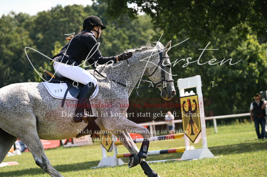 DSC_8995 | Pferde- und Turnierfotografie in Westsachsen. Pferdeportraits, Auftragszeichnungen und intuitive Kunst.