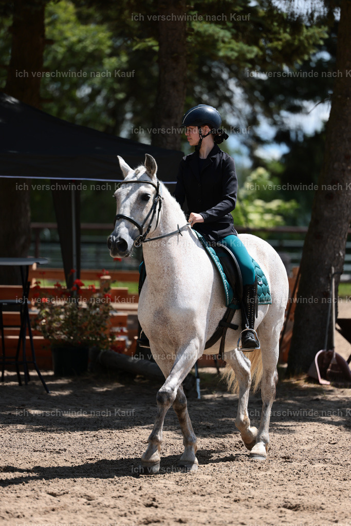KlasseE_Stoibphotography_CAM22492.JPG | working equitationturnier fotograf videograf stoibphotography marixx film working equitation deutschland reitsport turnierfotografie eventfotografie equestrian events