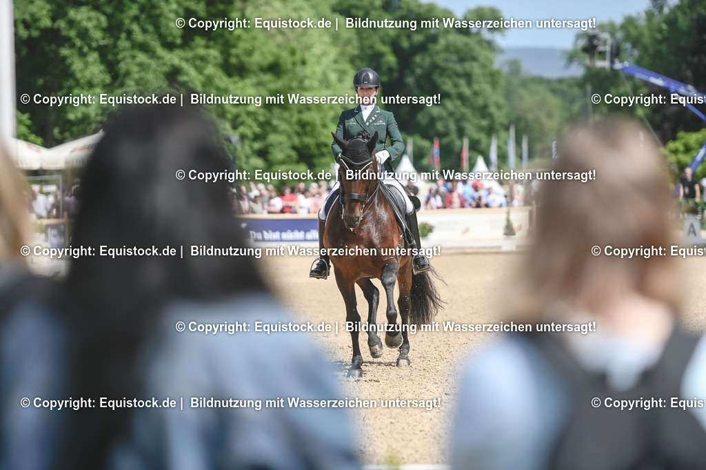 D78_2901 | equistock