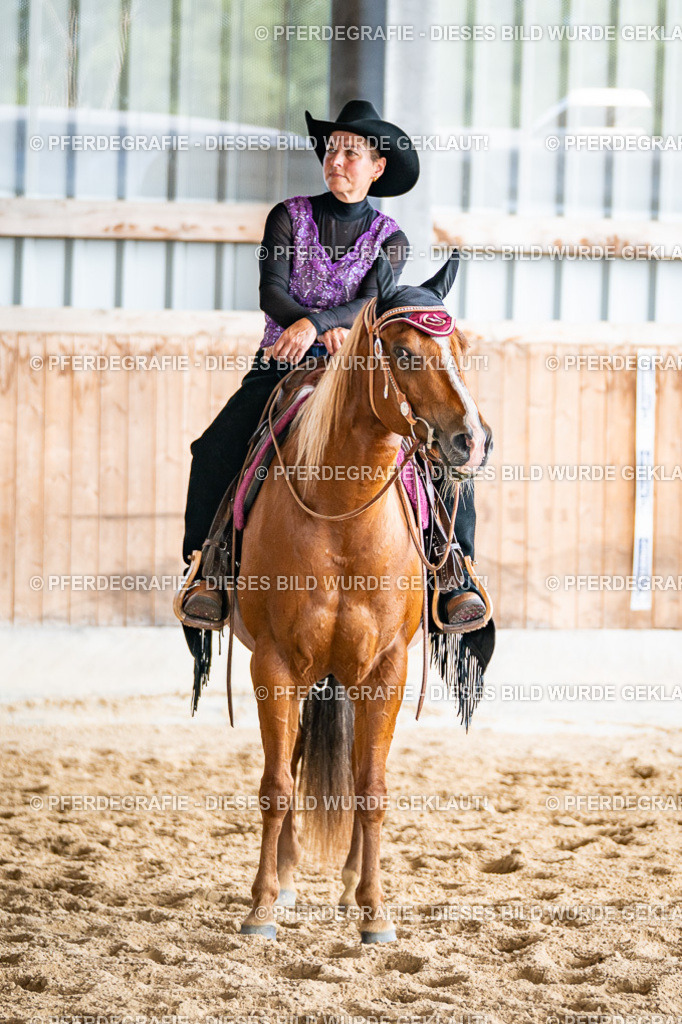 DSC09367 | Pferdegrafie