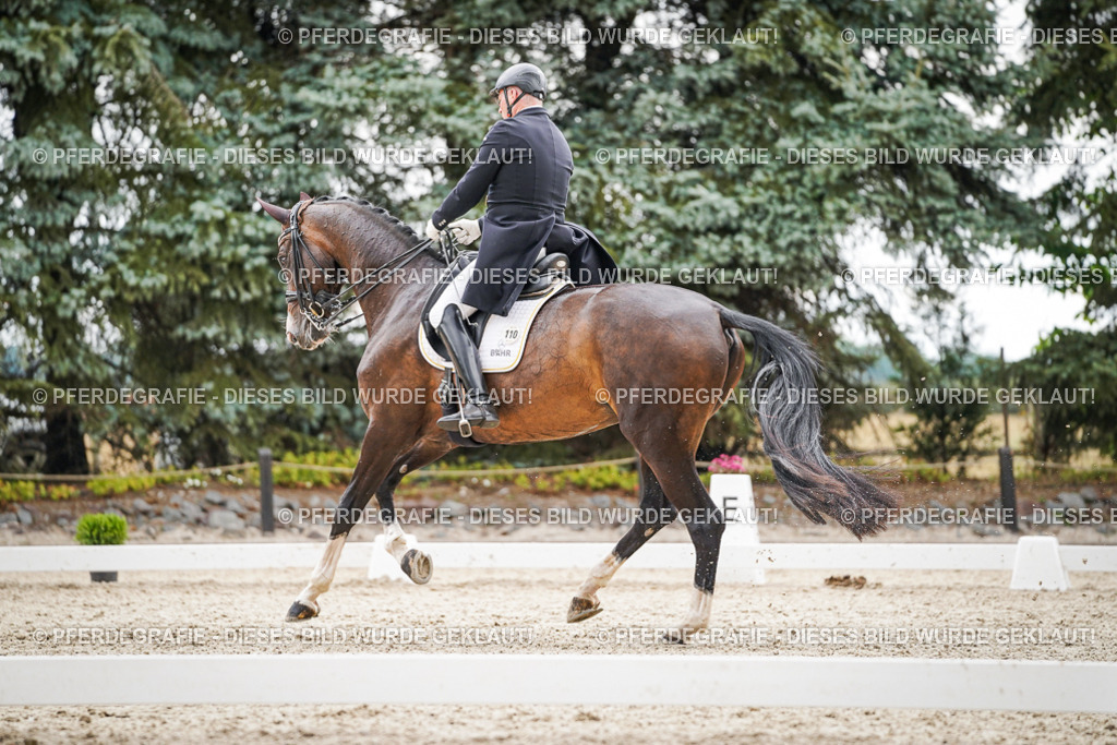 DSC06946 | Pferdegrafie