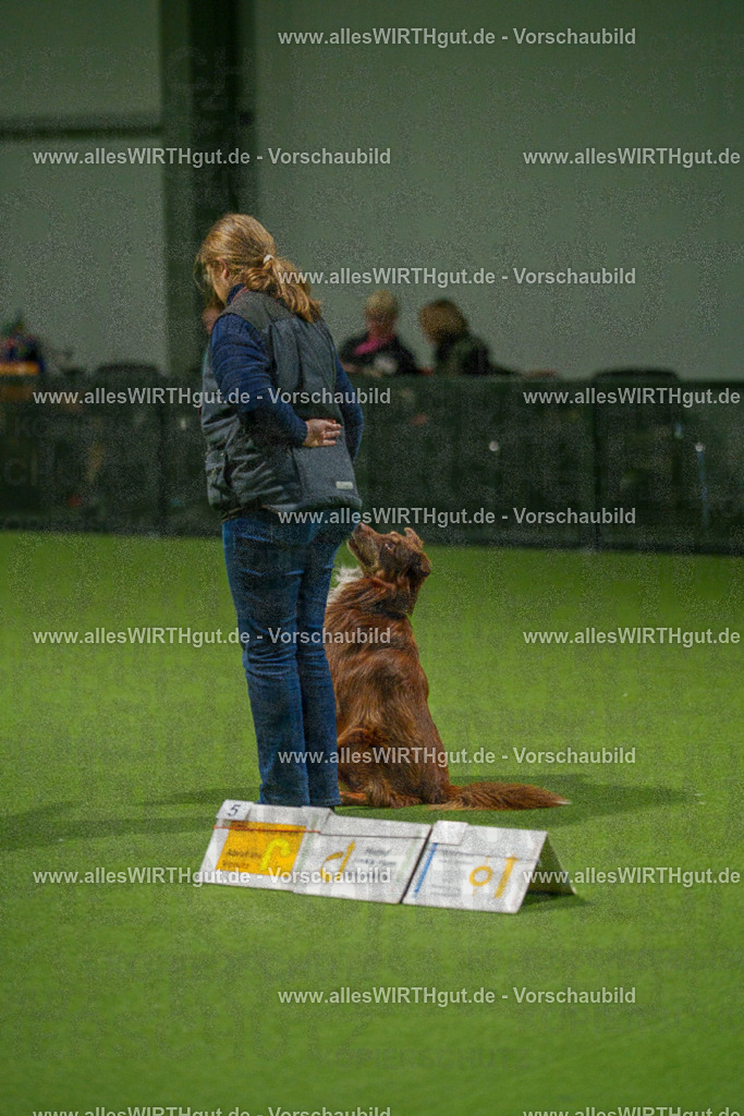 7R508900 | Professionelle Tierfotografie in Mönchengladbach von Daniel Wirth (allesWIRTHgut). Liebevolle & natürliche Bilder von Hunden & Katzen für unvergessliche Erinnerungen.