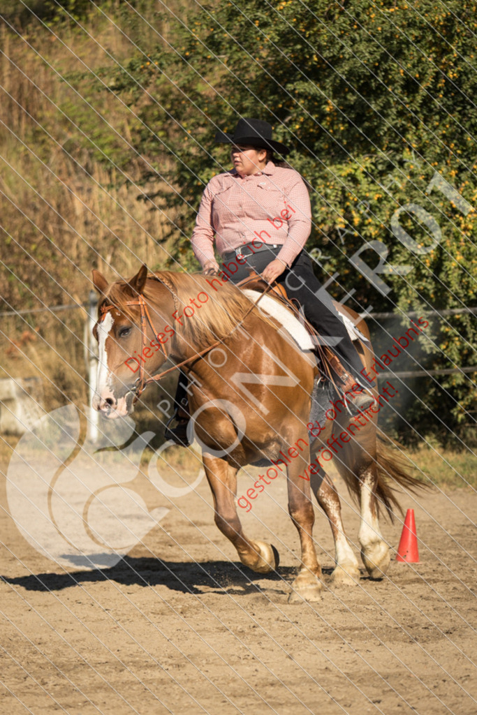 IMG_6640 | Sport-, Event- und Tierfotos in Profiqualität. Einfach auswählen, bestellen und herunterladen. Dein Moment – perfekt festgehalten.