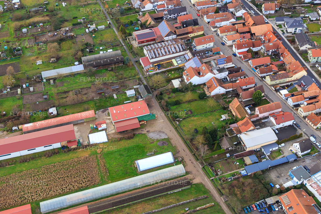 Luftbild: Landwirtschaftliche Hallen Am Ettenbaum in Kandel im Bundesland Rheinland-Pfalz in Deutschland. Foto: IMG_085953.jpg vom 08.01.2016 durch Werner Riehm/FLY-FOTO.de