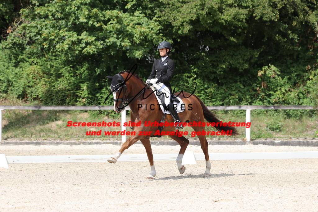 IMG_7081 | lmwpictures - Realisiert mit Pictrs.com