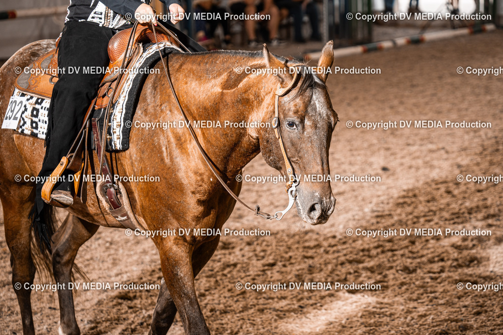 ZH300377 | dv-media-shop - Realisiert mit Pictrs.com