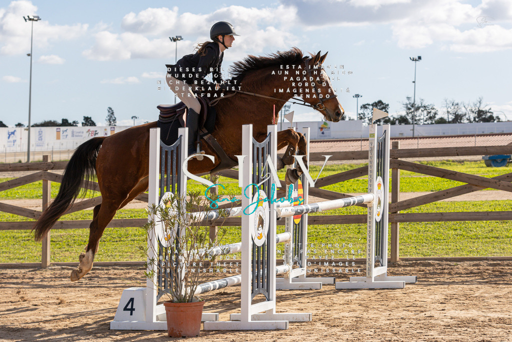 IMG_7787 | s-jay-photography - Realisiert mit Pictrs.com