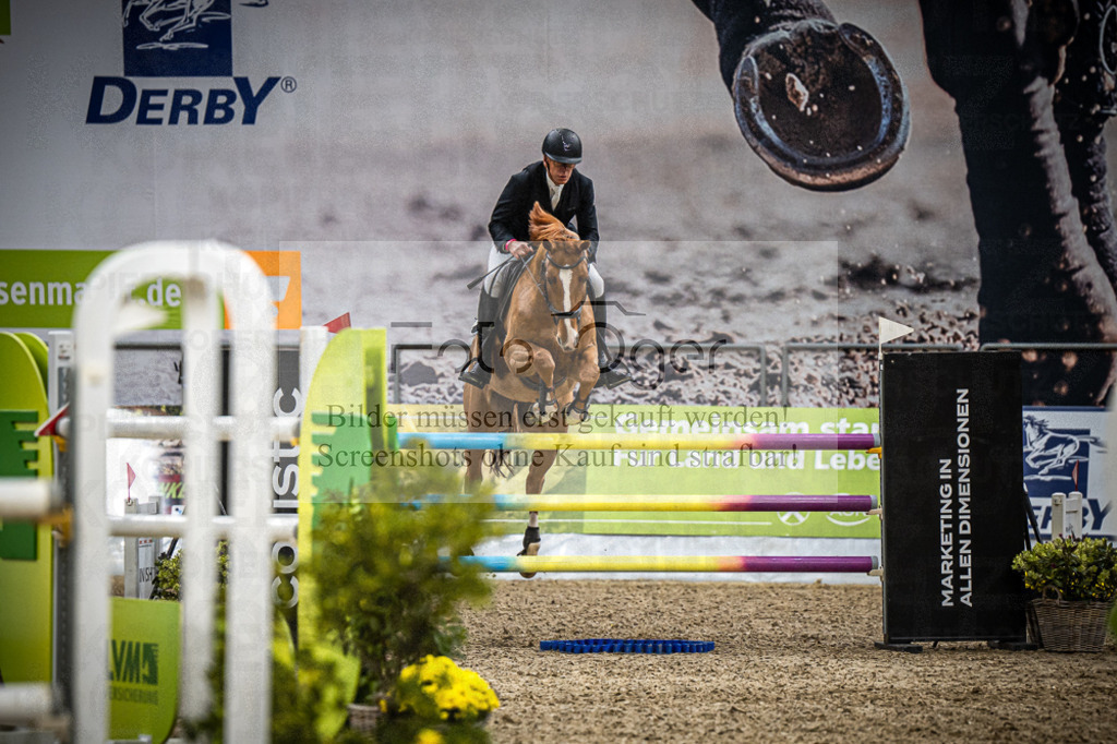 DOS_1551 | Entdecke hochwertige Reitturnierfotos von Foto Oger. Professionell, emotional und authentisch – jetzt Lieblingsmomente im Shop bestellen.Deutschlandweite Turnierfotografie. - Realisiert mit Pictrs.com