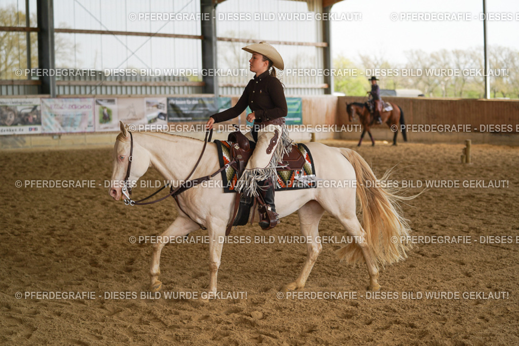 DSC00514 | Pferdegrafie