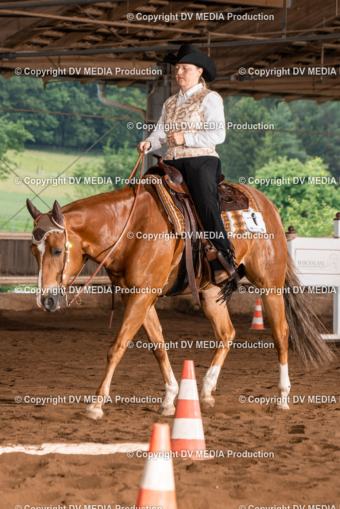 Erbach Tag 3-183 | dv-media-shop - Realisiert mit Pictrs.com